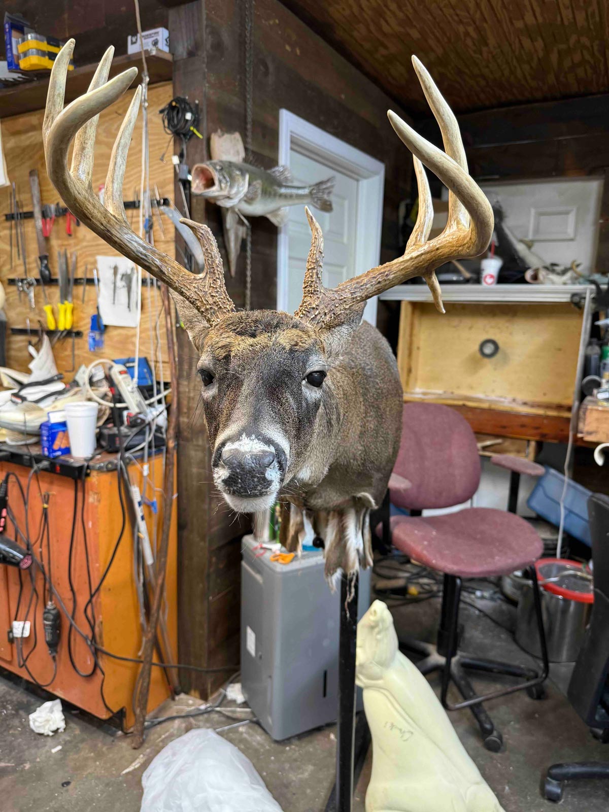 IMG_3580 A mounted deer head with antlers stands in a cluttered workshop with tools and fishing gear on the walls.