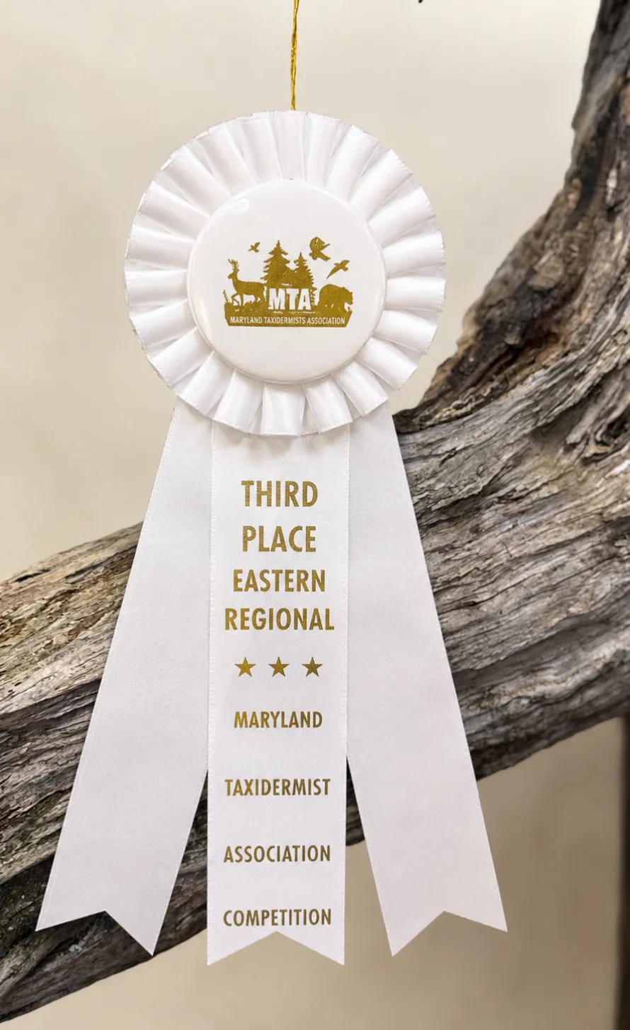 White ribbon reading “Third Place Eastern Regional Maryland Taxidermist Association Competition.”.